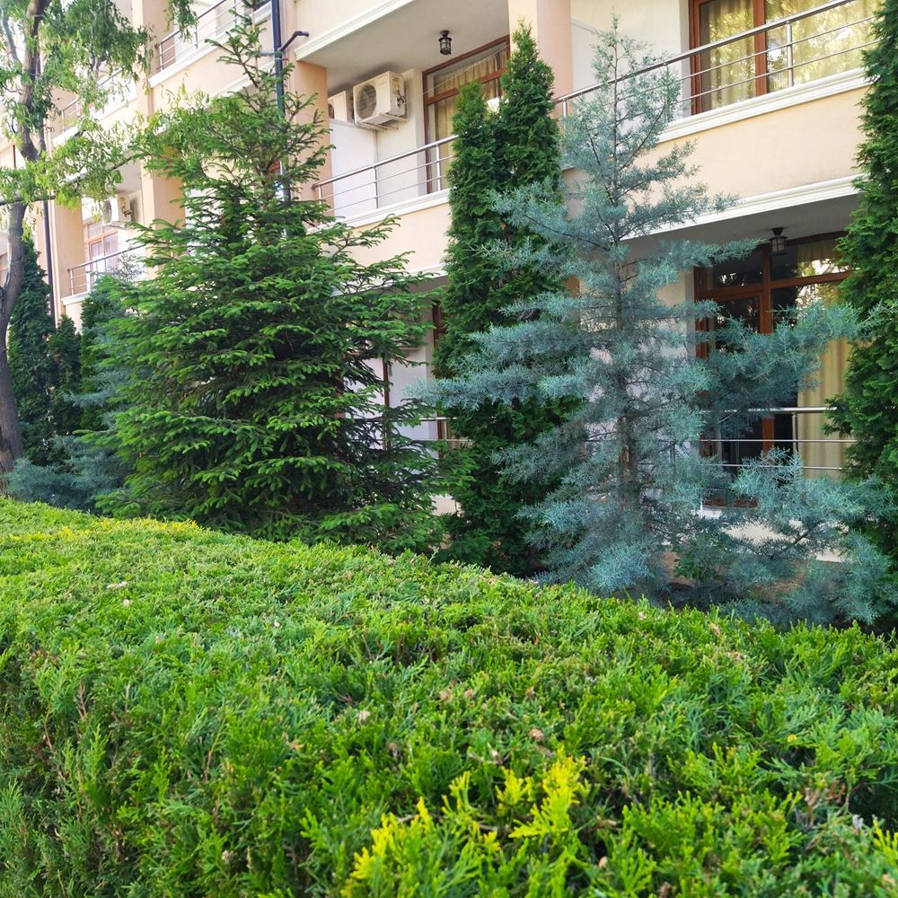 Studio in a Complex in Sunny Beach – Excellent Investment and Perfect Place for a Seaside Holiday