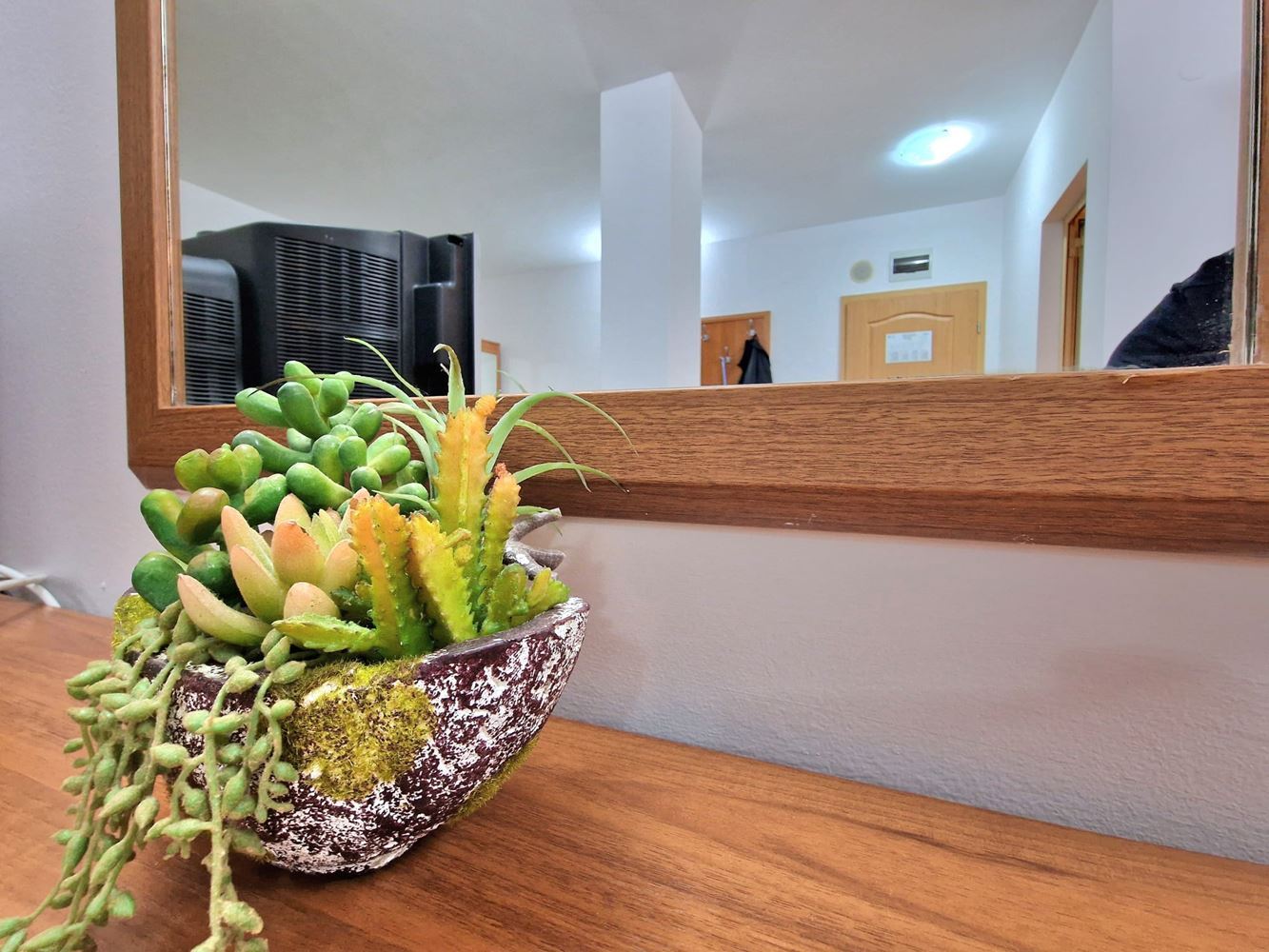 Panoramic studio on the top floor in Sunny Beach – tranquility, space, and a sense of freedom