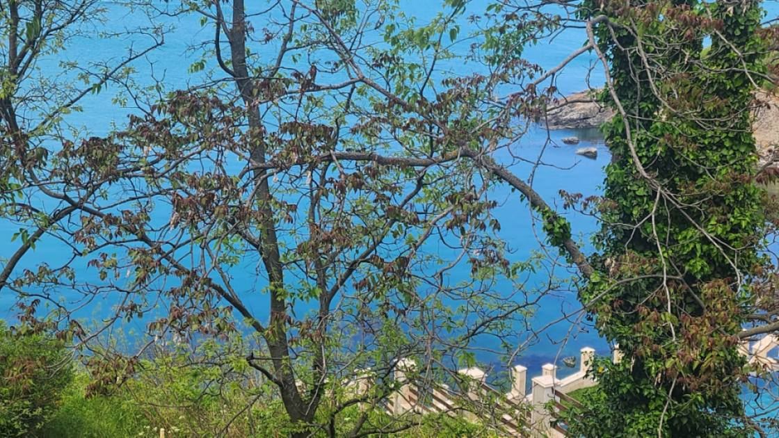 Maisonette on the first line to the sea in Sozopol with panoramic views and a boutique location