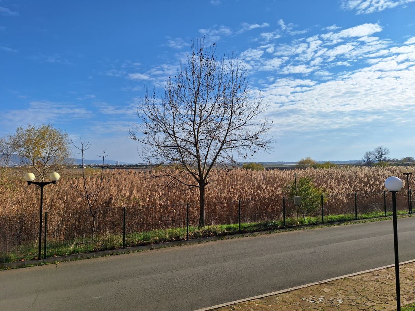 Spacious one-bedroom apartment in a luxury complex with pools and sports facilities