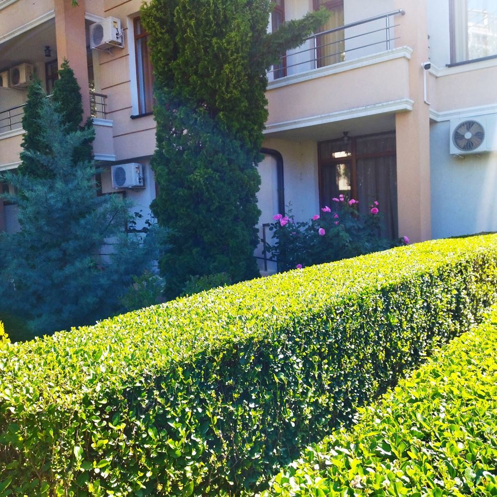 Studio in a Complex in Sunny Beach – Excellent Investment and Perfect Place for a Seaside Holiday