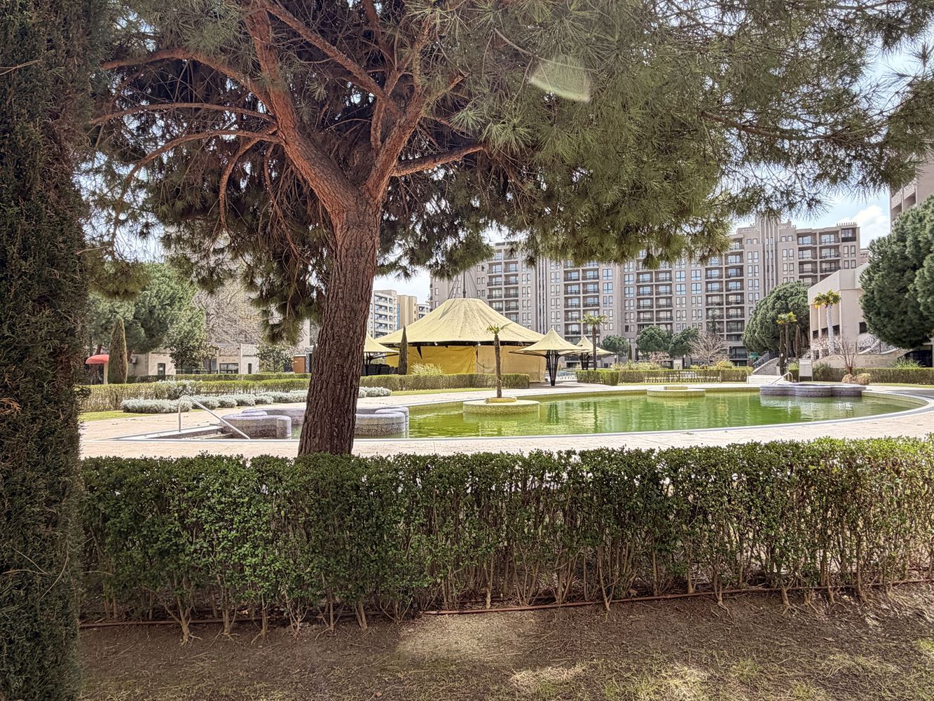 Exclusive studio with garden and direct pool access – 100 m from the sea in Sunny Beach